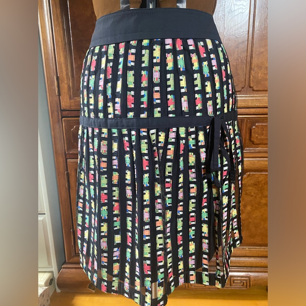 Cynthia Steffe Pleated Black Skirt with Colorful Accents